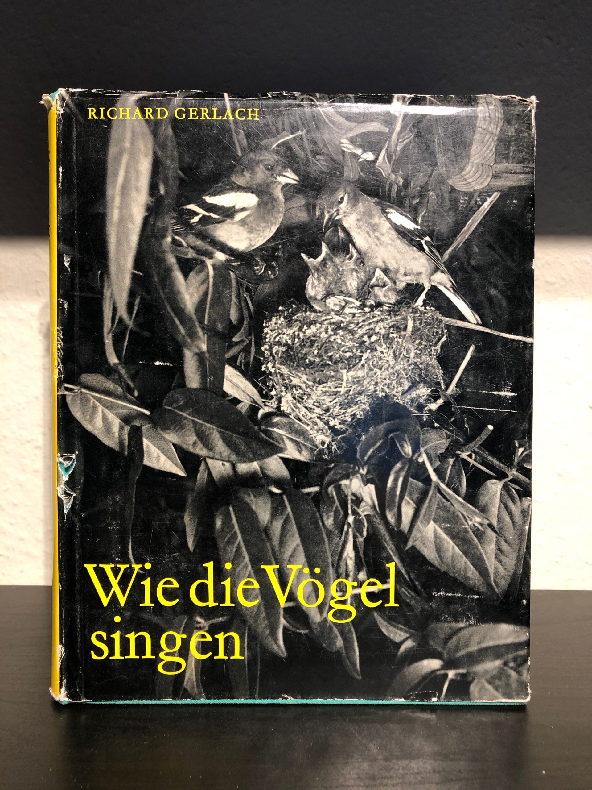 Wie die Vögel singen - Kleine Vogelstimmkunde für Deutschland, Österreich und die Schweiz - Richard Gerlach