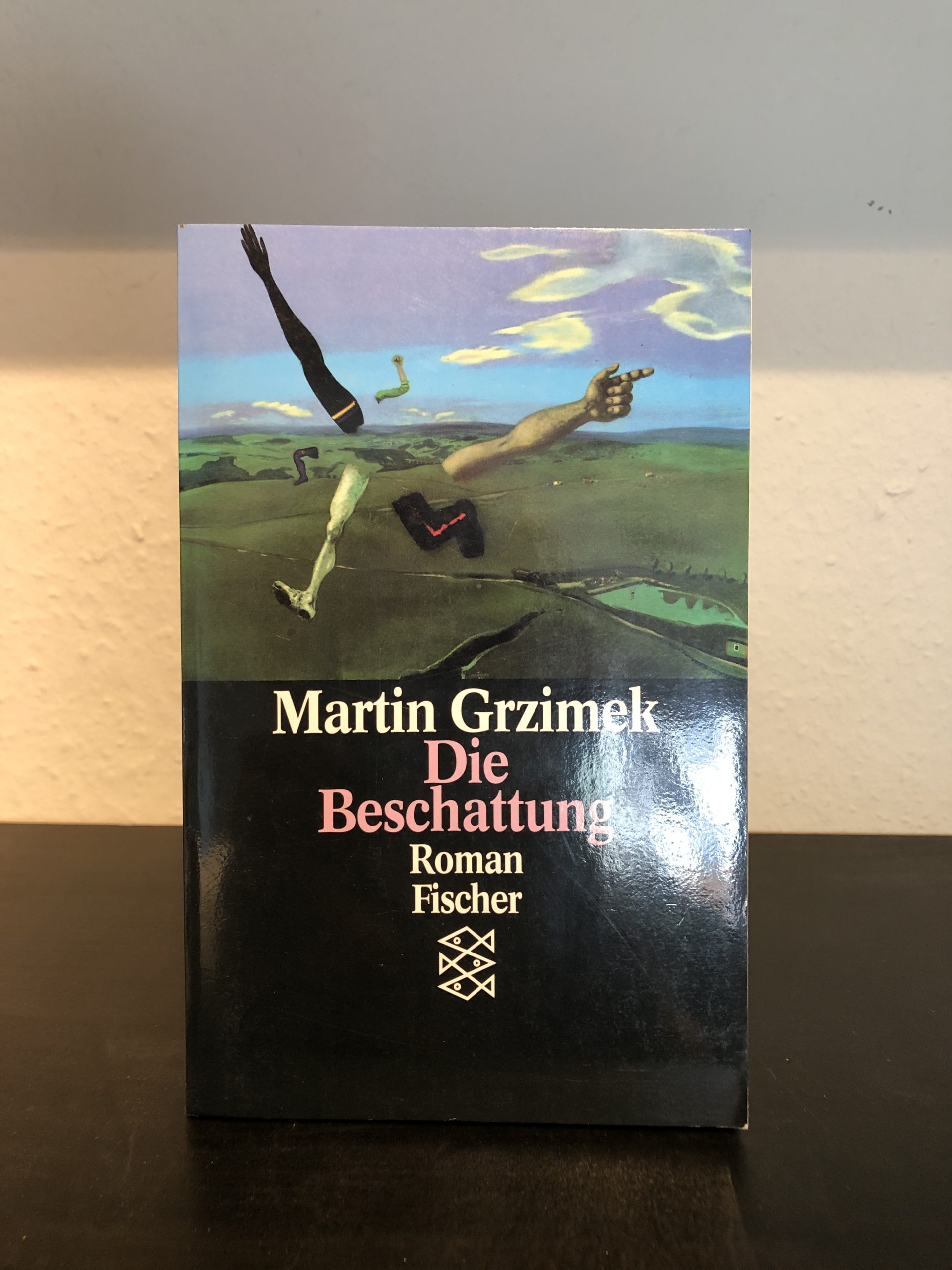 Die Beschattung - Martin Grzimek